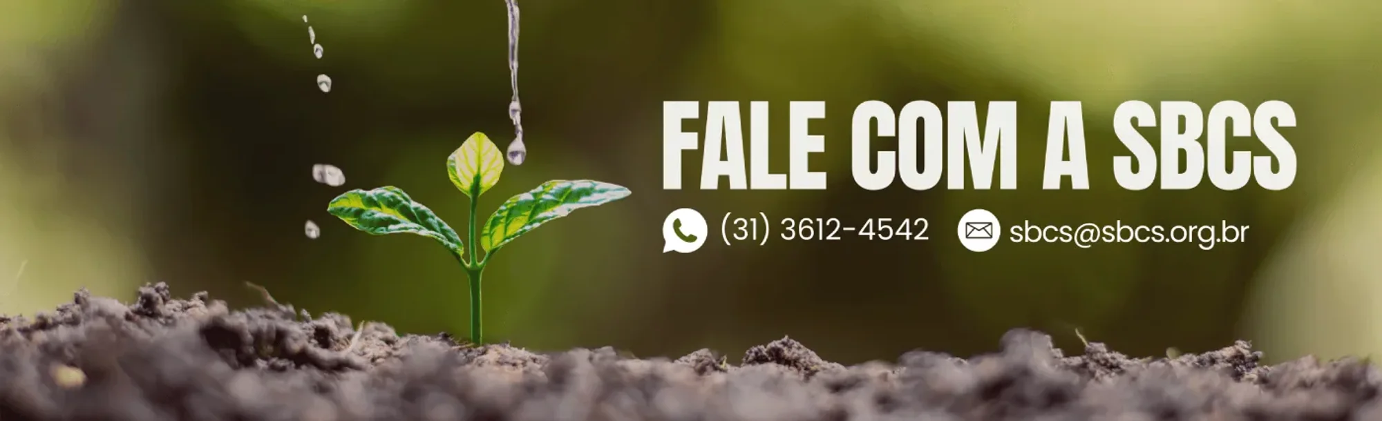 Fale com a SBCS: (31) 3612-4542 ou sbcs@sbcs.org.br