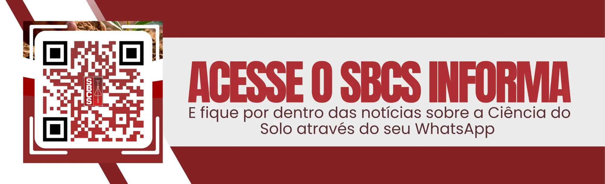 Acesse o SBCS Informa e acompanhe as notícias da Ciência do Solo pelo WhatsApp