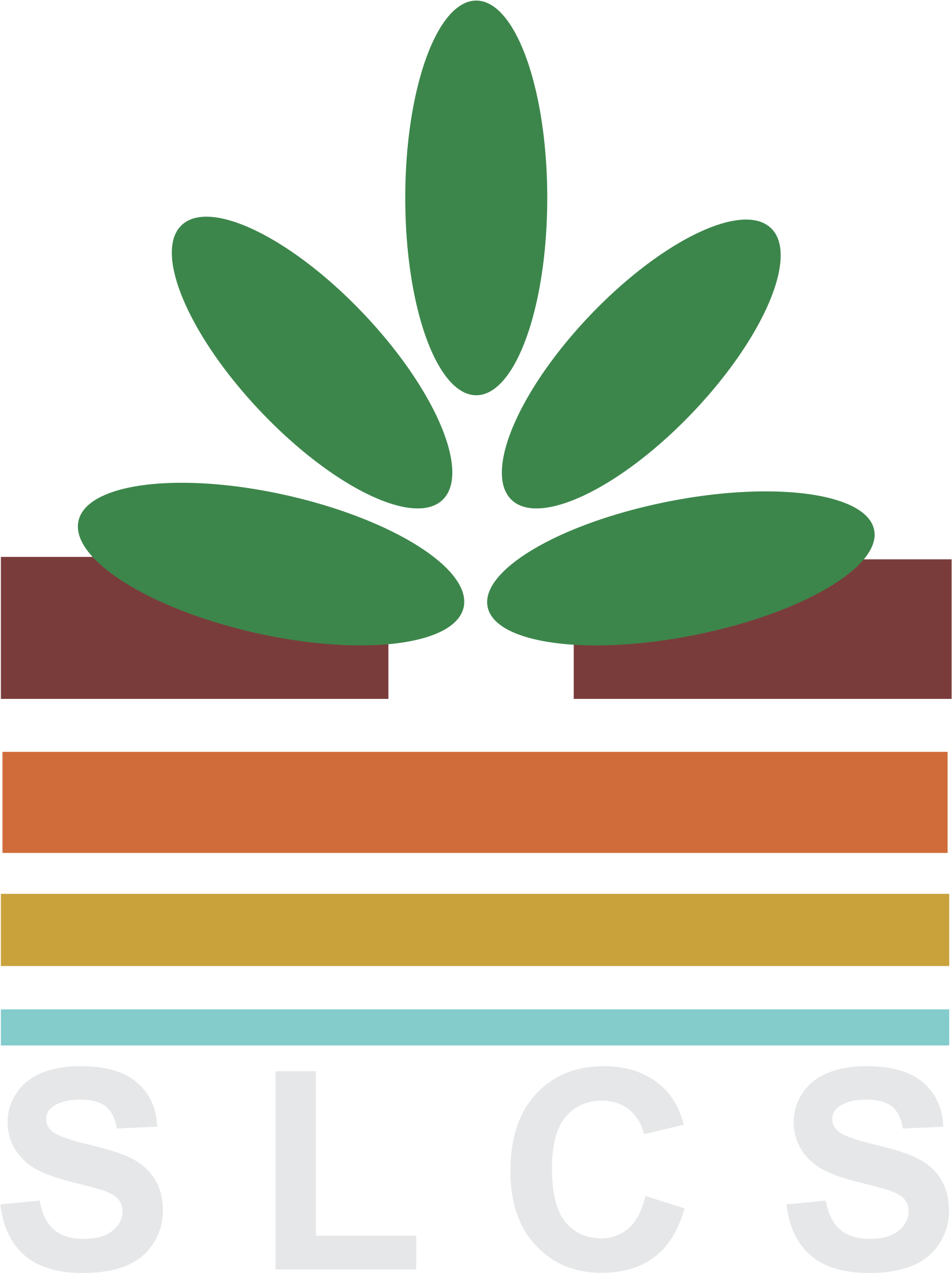 SLCS — Sociedad Latinoamericana de la Ciencia del Suelo