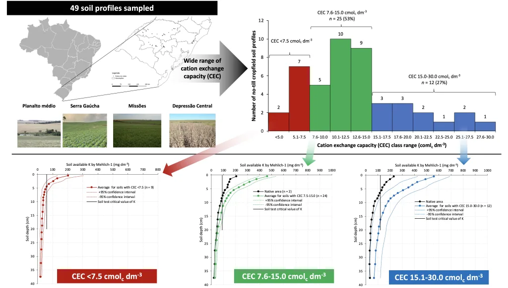 Potassium distribution in soil profiles under no-tillage system