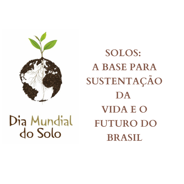 Temas para destacar a importância dos solos