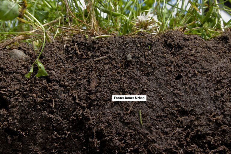 Cropping and soil management systems effects on soil organic matter fractions in diversified agricultural fields in the Cerrado
