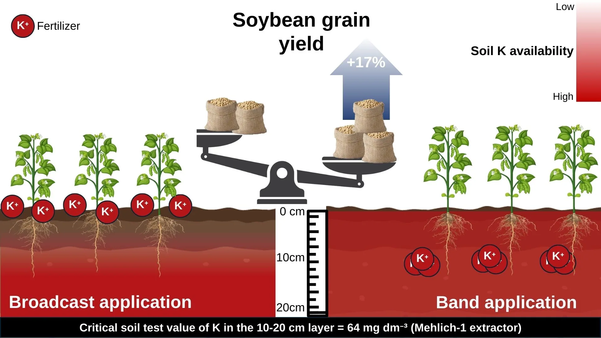 Effect of potassium rates and application methods in no-till on soil K availability and crop yield