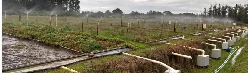 Automatic measurement of surface runoff at the plot scale