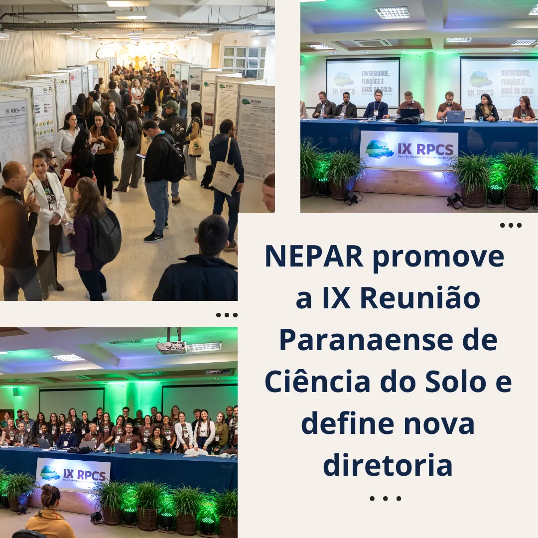 Conheça a nova diretoria do NEPAR