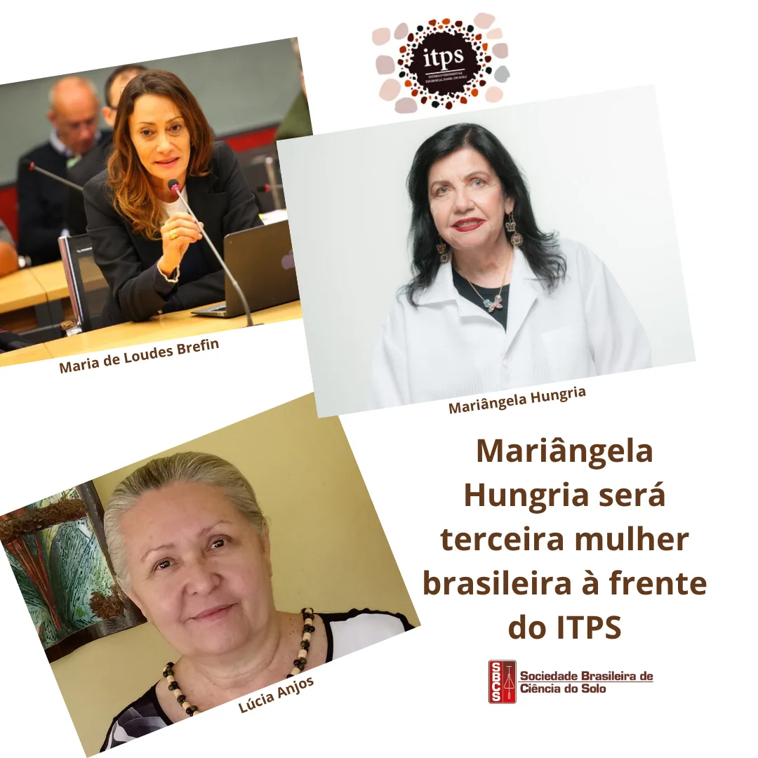 A pesquisadora da Embrapa Soja e ex-presidente da Sociedade Brasileira de Ciência do Solo…