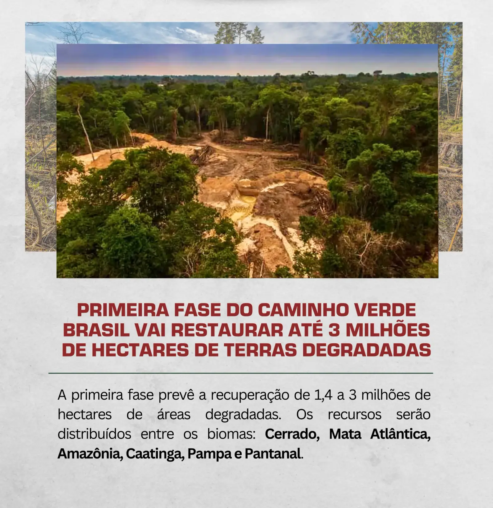 No dia 08/09, durante a Reunião do Conselho Superior do Agronegócio (COSAG), em São Paulo…