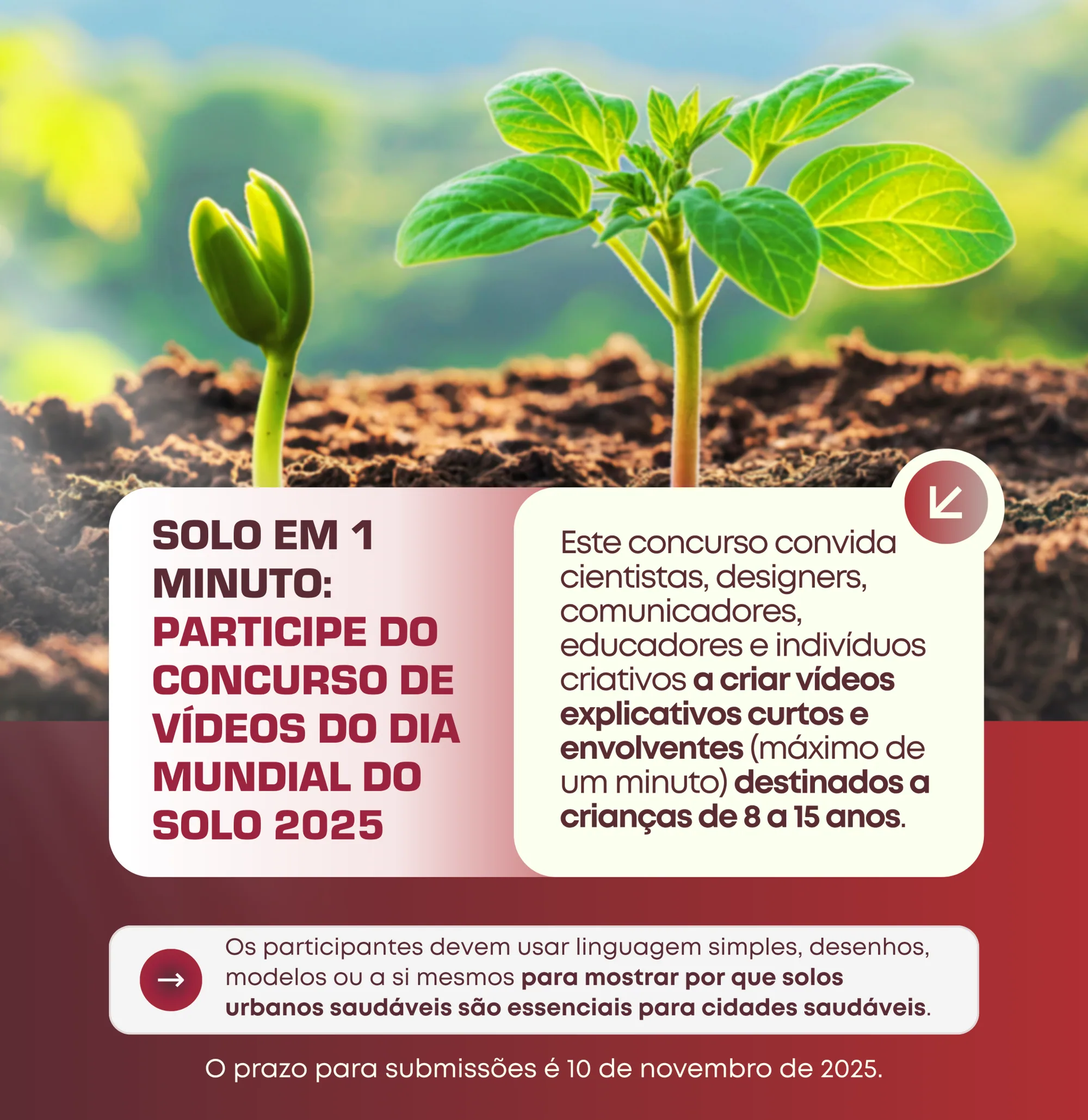 Concurso de Vídeos – Dia Mundial do Solo 2025!