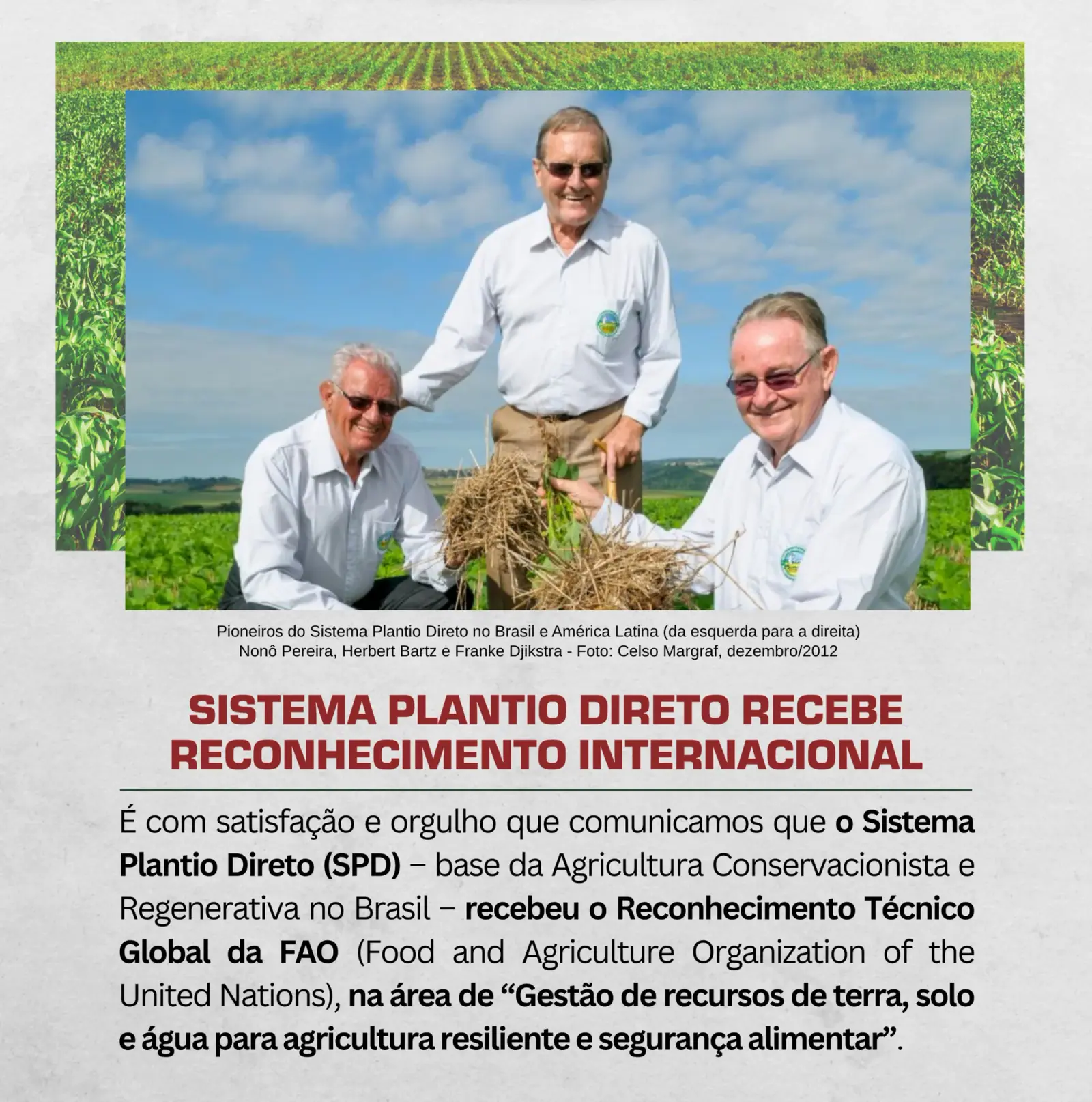 Sistema Plantio Direto recebe reconhecimento internacional