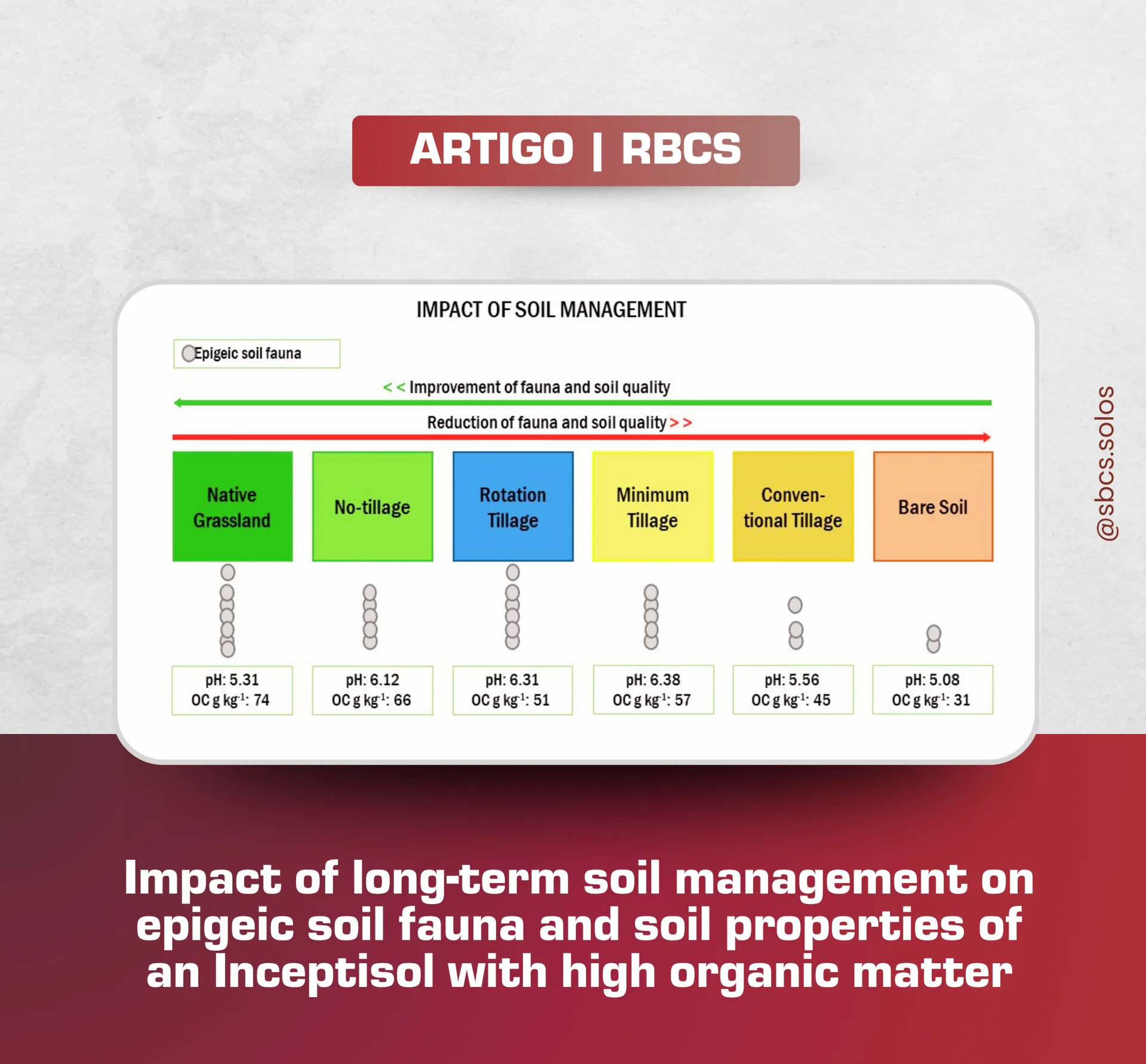 Impact of long-term soil management on epigeic soil fauna and soil properties of an Inceptisol with high organic matter