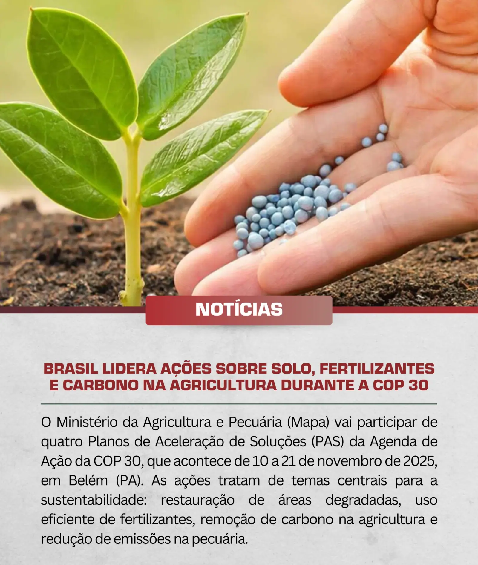 O Ministério da Agricultura e Pecuária (Mapa) vai participar de quatro Planos de Aceleração…