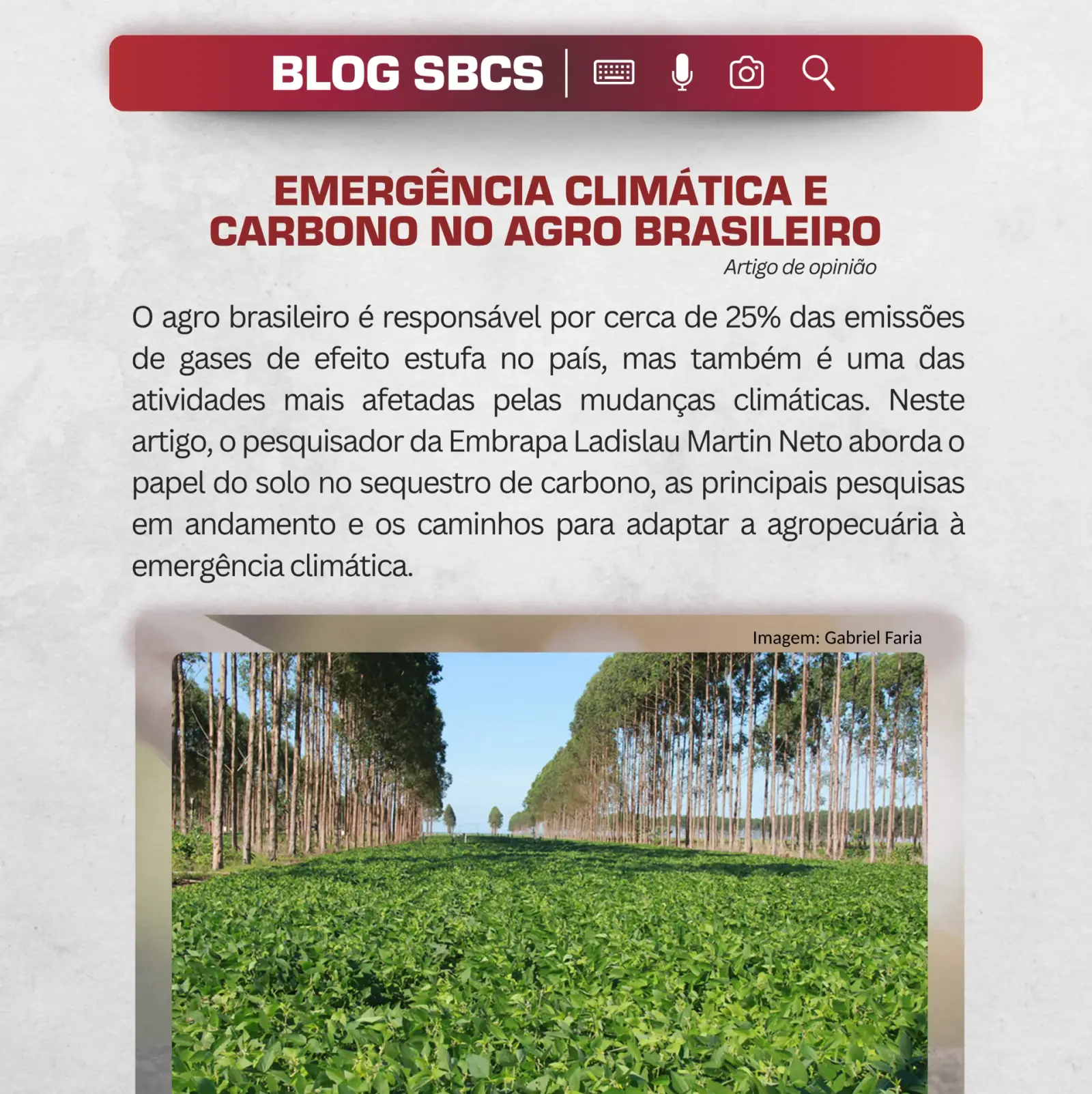 Climate emergency and carbon in Brazilian agriculture
