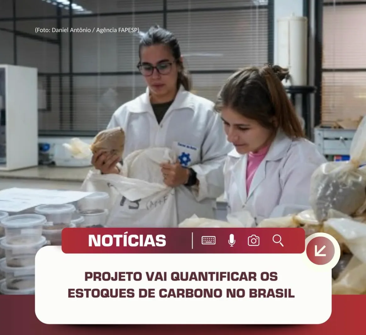 Pesquisadores brasileiros vão percorrer o país para coletar milhares de amostras de solo e…