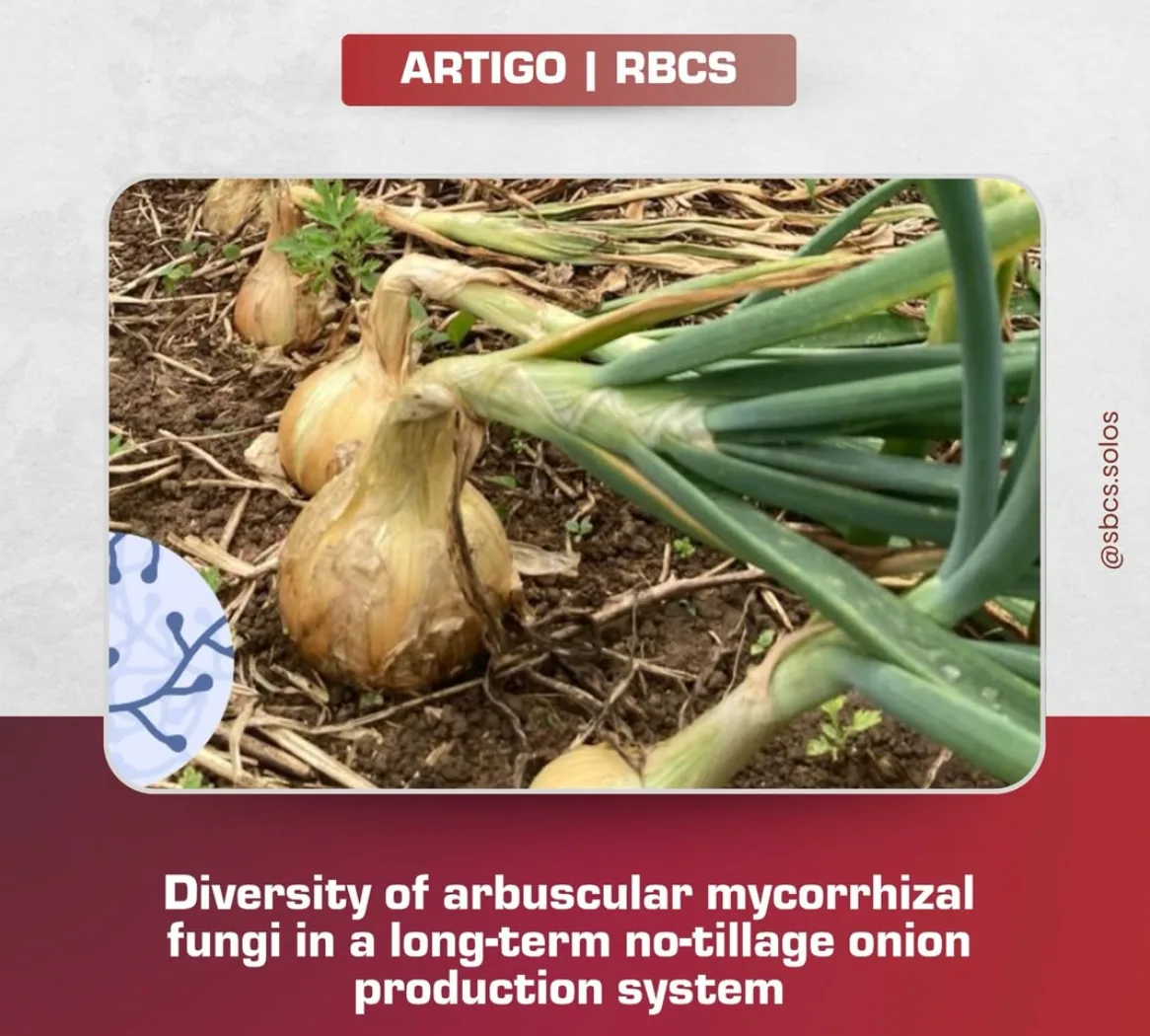 Você sabia que mais de 80% das plantas dependem de uma parceria invisível com fungos do…