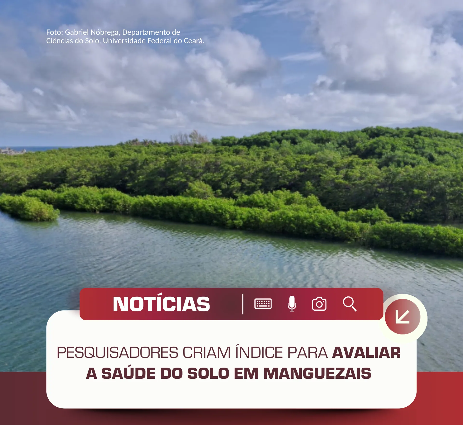 Pesquisadores brasileiros desenvolveram um índice capaz de medir a saúde do solo de…