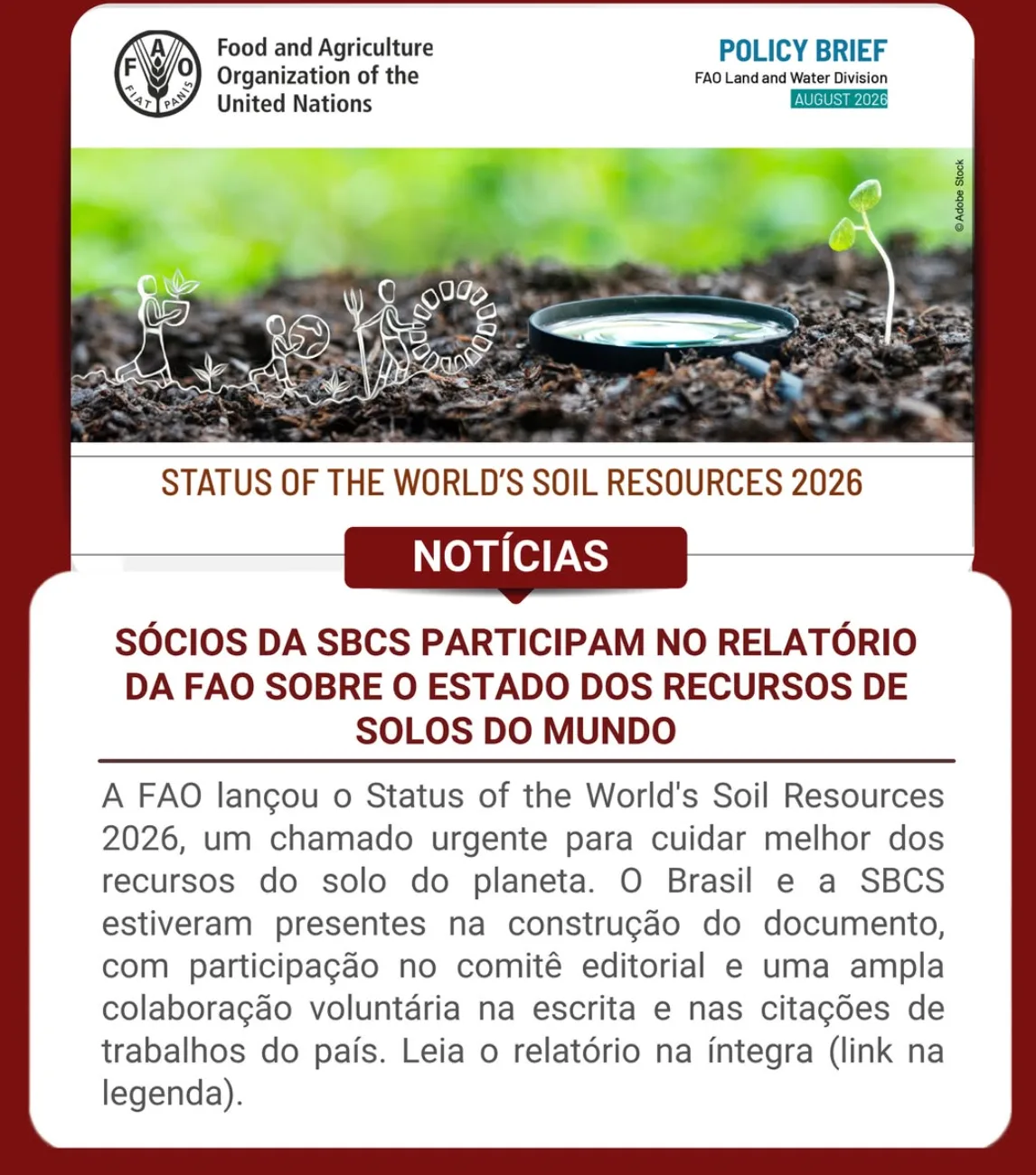 Sócios da SBCS participam no relatório da FAO sobre o Estado dos Recursos de Solos do Mundo